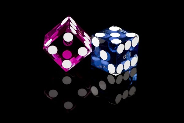 Live Lucky Twins dealer interface on suhubet login mobile app